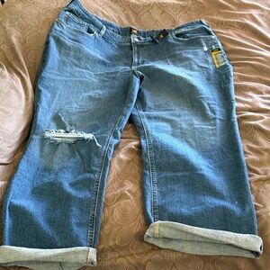 Lee Women's Blue Boyfriend Jeans Size 24W